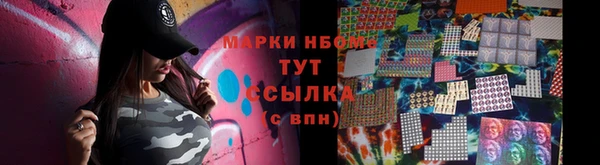 шишки Аркадак