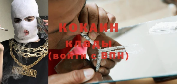 шишки Аркадак