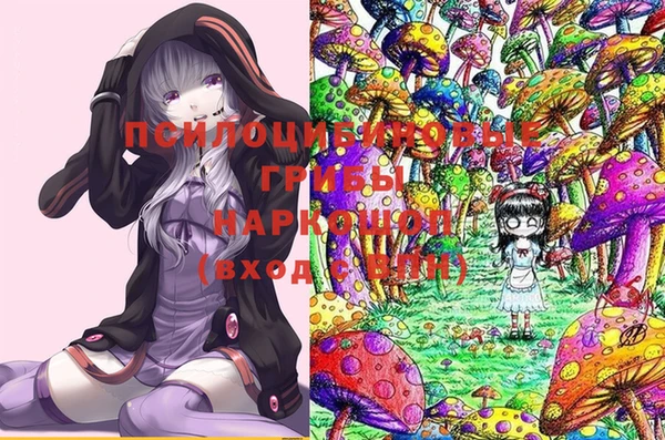 шишки Аркадак