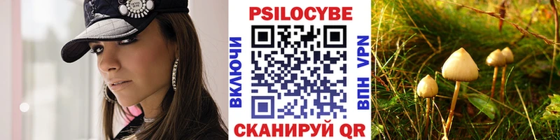 Купить закладки  Похвистнево  Псилоцибиновые грибы мухоморы 